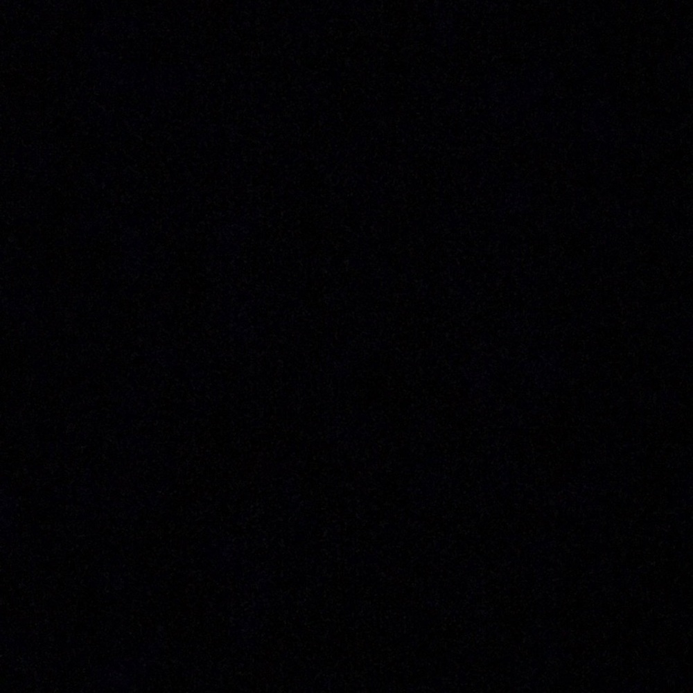 Meet your Posher, Tayler